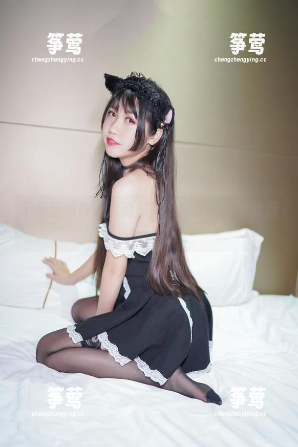不呆猫 不呆猫的在线泳池美图,猫咪从未如此潇洒!