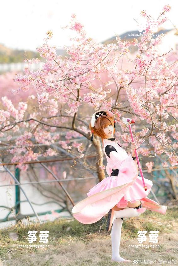 橙喵 橙喵的写真:让你不得不佩服的“秘书”演技